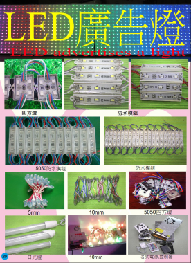 [寶登實業有限公司]