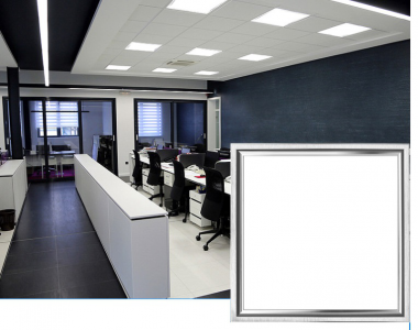 [寶登實業有限公司]