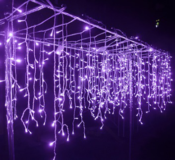 [寶登實業有限公司]