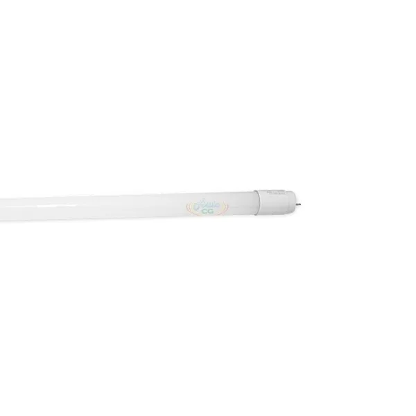 10W 2呎 T8 LED玻璃燈管，LED燈管