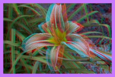 Image to be viewed by anaglyph 3D glasses