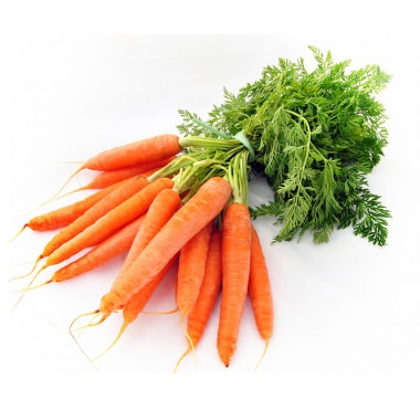 其色澤氣味呈淡黃色液體，帶有苦澀而獨特的草本香氣；胡蘿蔔的用途非常廣泛，單一株胡蘿蔔就可萃取出2種不同的精油。一為胡蘿蔔籽精油(Carrot Seed)、二為胡蘿蔔葉精油(Carrot Leaf)。此外，它的肉質根部即可做植物浸泡油的主原料，也是最普遍的蔬菜。[世琳美容院(用品批發補給站)]